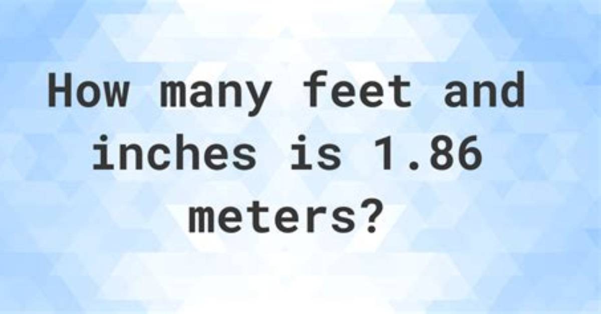 1.86 M in Feet (1.86 Meters to Feet)