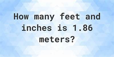 1.86 M in Feet (1.86 Meters to Feet)