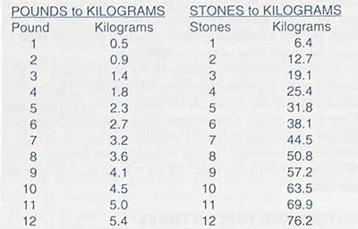 1.9 Kg in Stone (1.9 Kilograms in Stone)