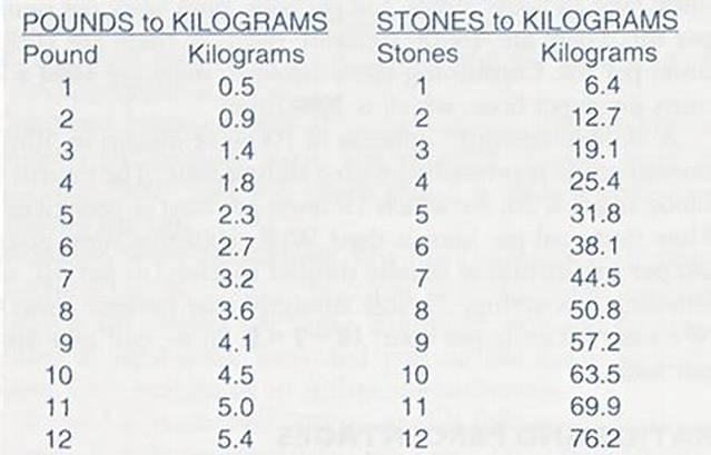 1.9 Kg in Stone (1.9 Kilograms in Stone)