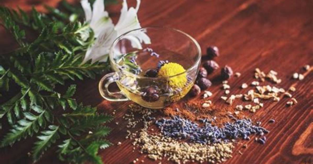 10 Tisane Dimagranti Da Bere Durante Il Giorno