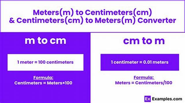 11 Cm to M (Convert 11 Centimeters to Meters)