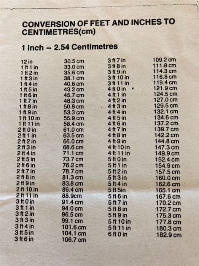 13.7 Cm to Feet and Inches