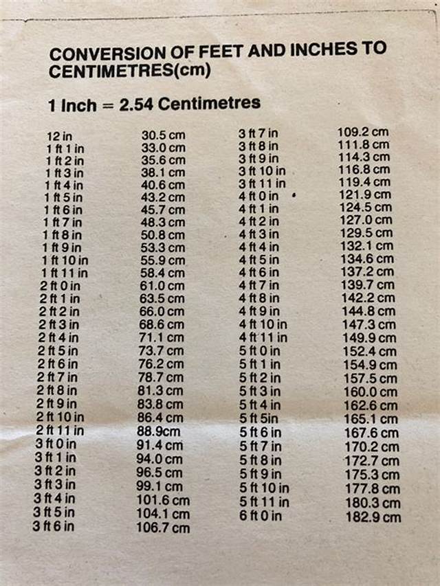 13.7 Cm to Feet and Inches