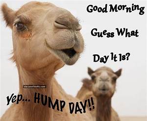 15 Witty Hump Day Memes to Keep You Smiling All Week Long