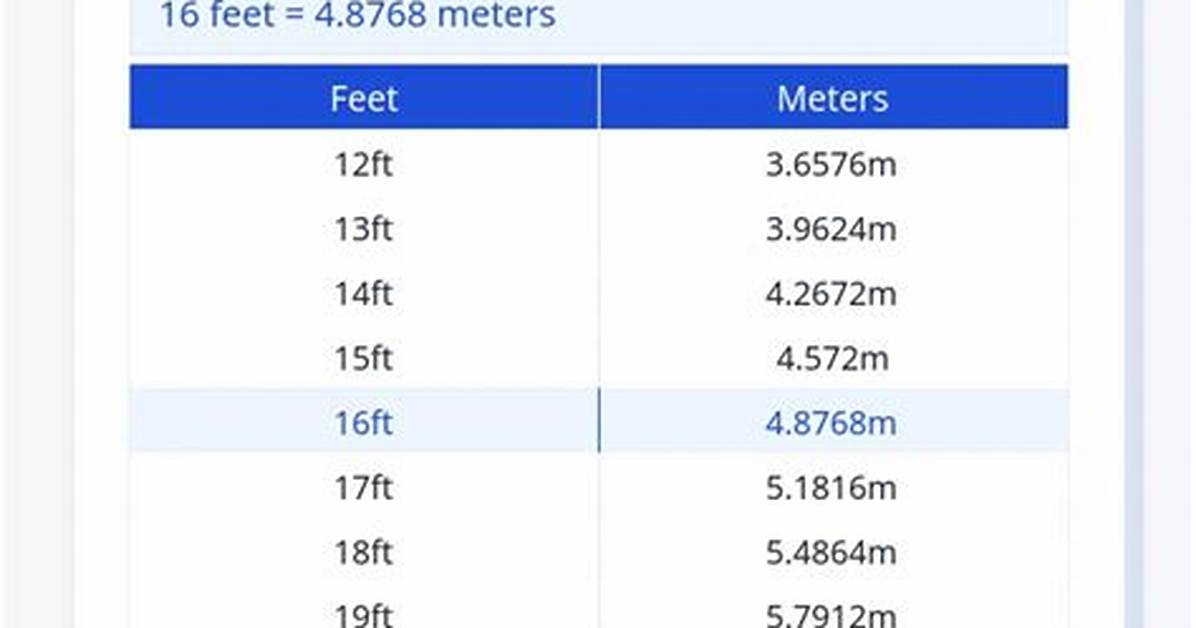 16 M in Feet (16 Meters to Feet)