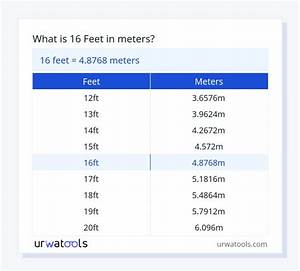 16 M in Feet (16 Meters to Feet)