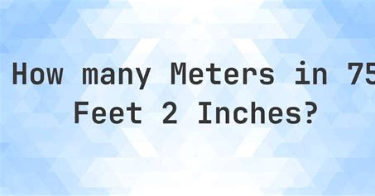 2.75 Feet to Meters (2.75 Ft to M)