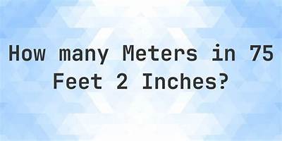 2.75 Feet to Meters (2.75 Ft to M)