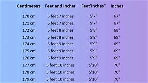 3.67 M in Feet (3.67 Meters to Feet)