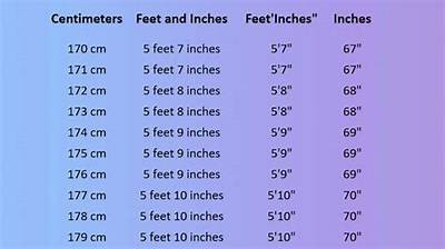 3.67 M in Feet (3.67 Meters to Feet)
