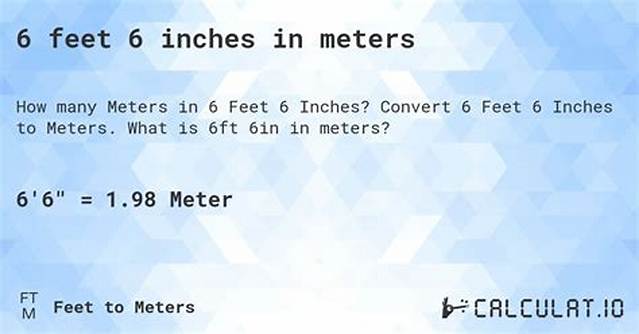 6.3 Feet to Meters (6.3 Ft to M)