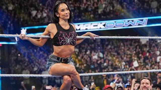 Aj Lee on Possible Wrestling Return: ‘Never Say Never’