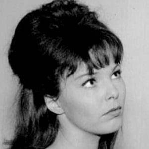 Anne Helm Bio, Wiki, Age, Height, Married, Family, Actress and Net Worth