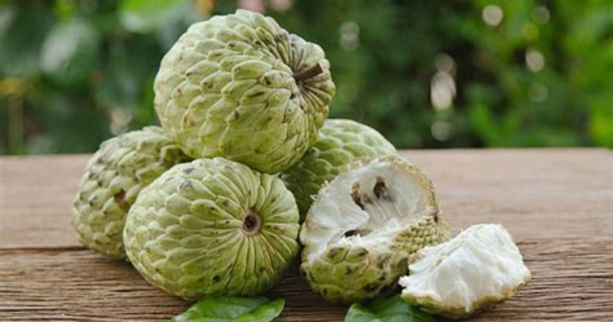 Anone Ou Pomme Cannelle?