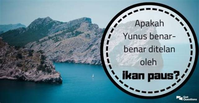 Apakah Yunus Benar-Benar Ditelan Oleh Ikan Paus?