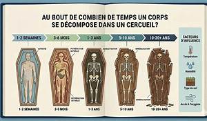 Au Bout De Combien De Temps Un Figuier Donne Des Fruits?