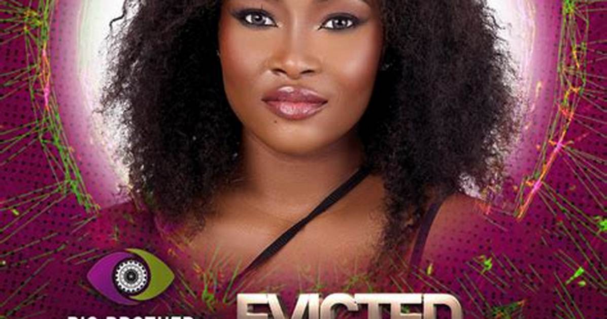 Bbnaija (Big Brother Naija) 2022 Remaining/Evicted Housemates Today So Far