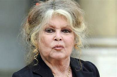 Brigitte Bardot Racist Controversy- Where Is the French Activist Now in 2022?