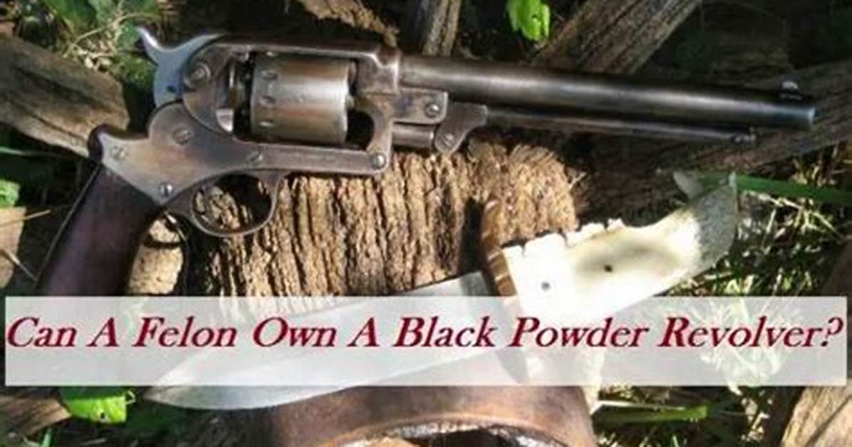 Can a Felon Own a Black Powder Gun?
