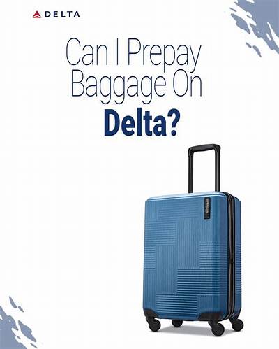 Can I Prepay for Baggage on Delta?