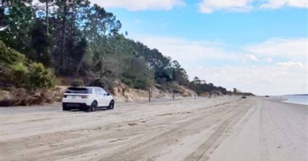 Can You Drive on the Beach Amelia Island?