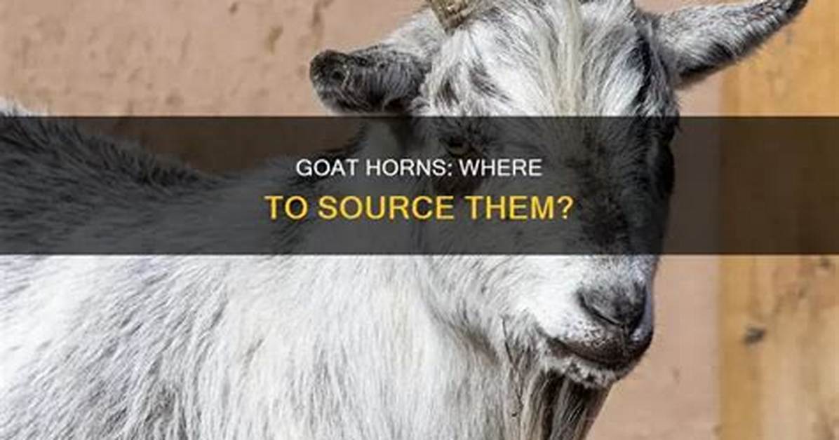 Can You Get Goat Horns by Killing Goats in Minecraft?