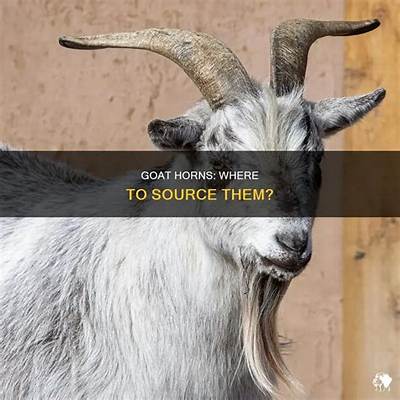 Can You Get Goat Horns by Killing Goats in Minecraft?