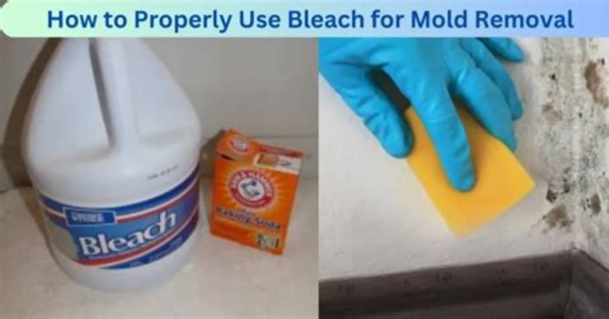 Can You Use Bleach to Clean Hardiplank?