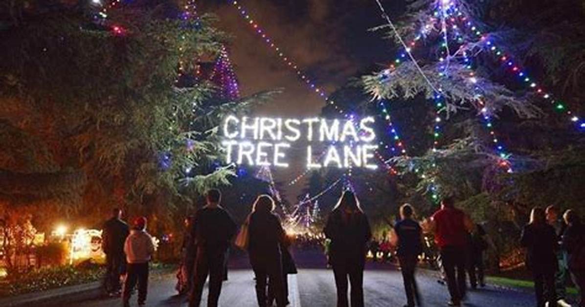 Christmas Tree Lane: Christmas Celebration in Fresno - Sarkariresult