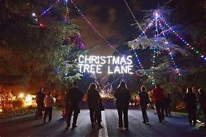 Christmas Tree Lane: Christmas Celebration in Fresno - Sarkariresult