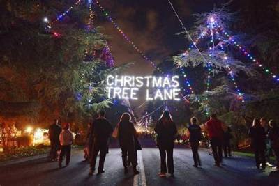 Christmas Tree Lane: Christmas Celebration in Fresno - Sarkariresult