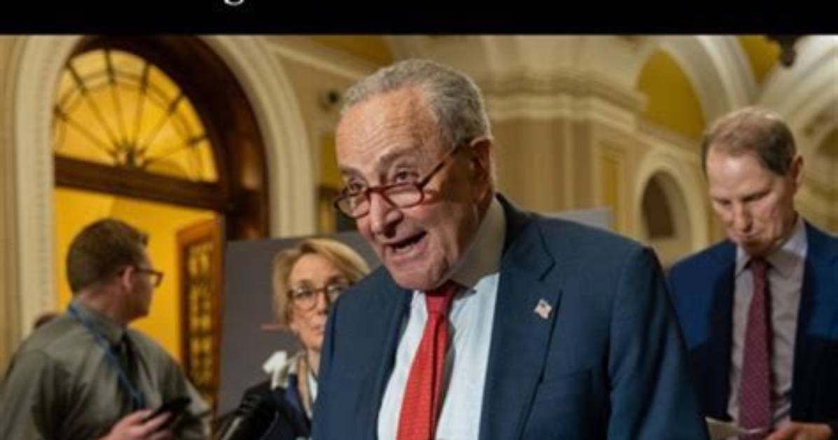 Chuck Schumer Scandal and Affair: Is He Dating Allison R. Greenfield?