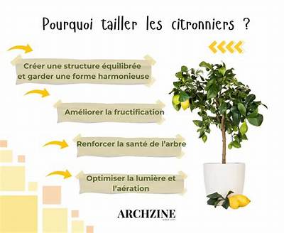 Citronnier Combien De Temps Pour Avoir Des Fruits?