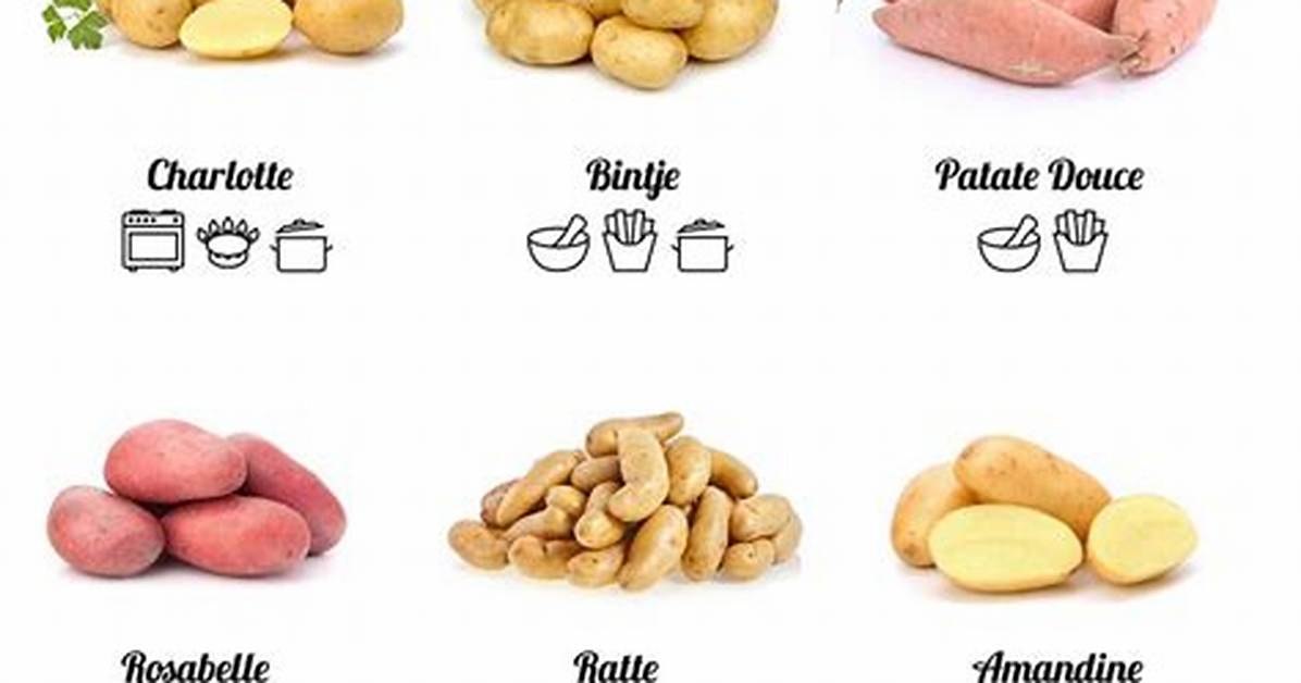 Combien De G De Pomme De Terre Par Personne?