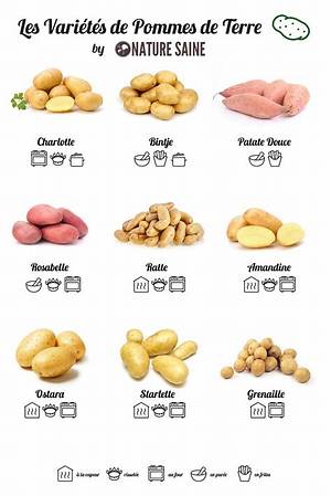 Combien De G De Pomme De Terre Par Personne?