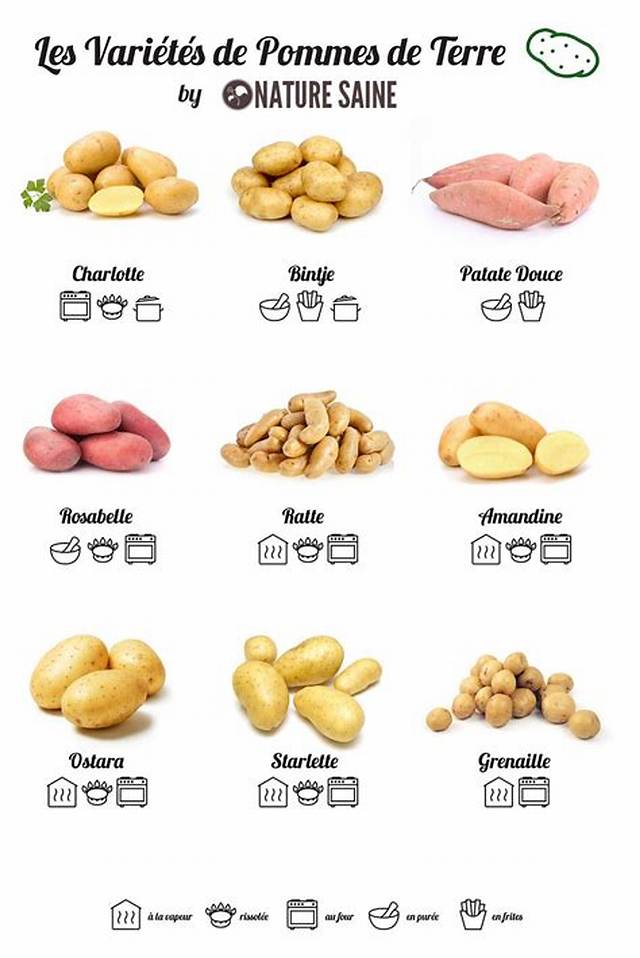 Combien De G De Pomme De Terre Par Personne?
