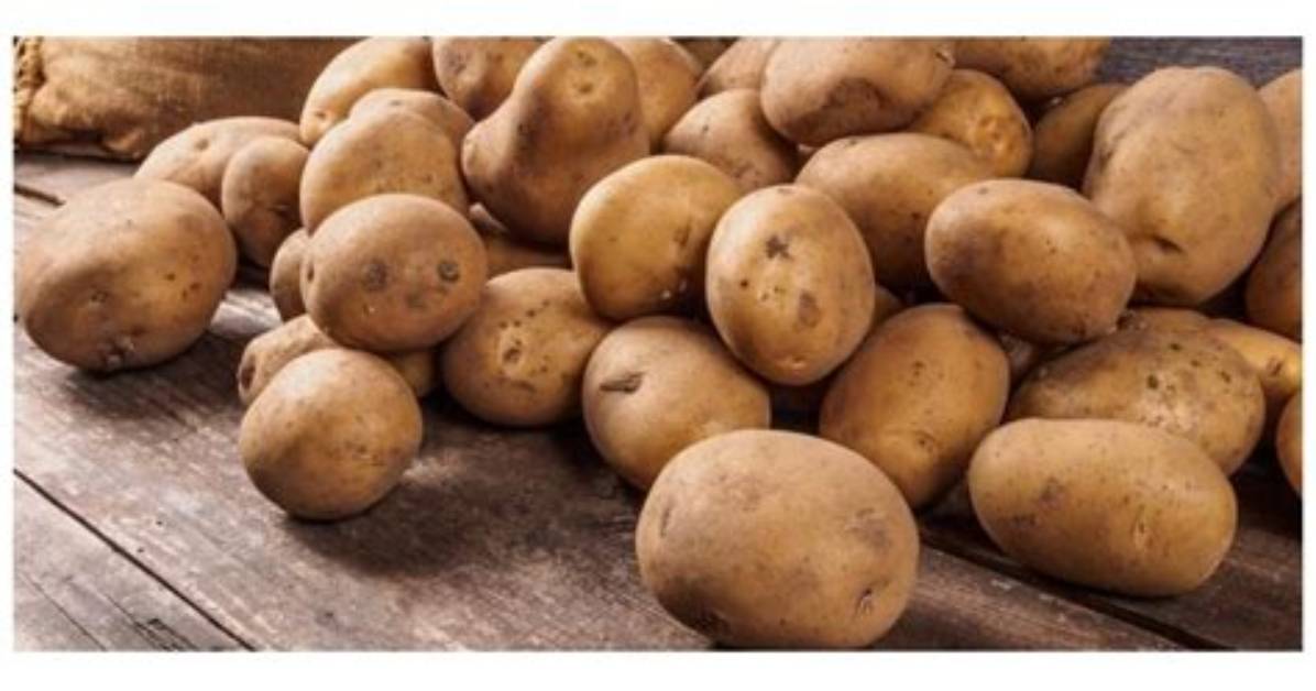 Combien De Kilo De Pomme De Terre Par Personne?