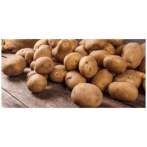 Combien De Kilo De Pomme De Terre Par Personne?