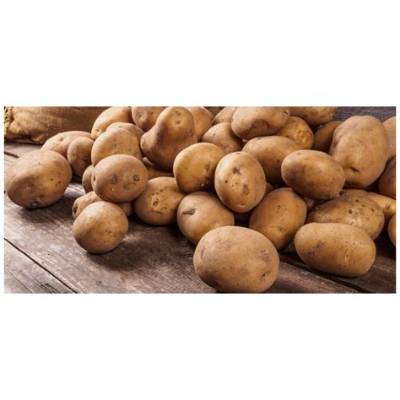 Combien De Kilo De Pomme De Terre Par Personne?