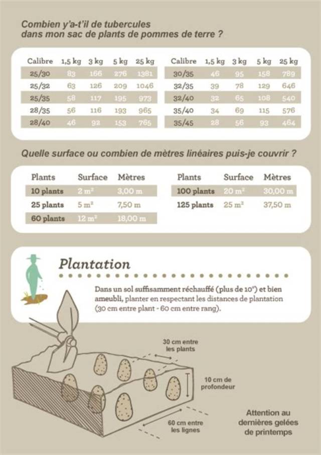 Combien De Kilo De Pomme Par Arbre?