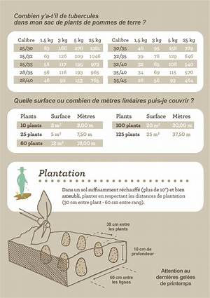 Combien De Pomme De Terre Dans 1 Kg?