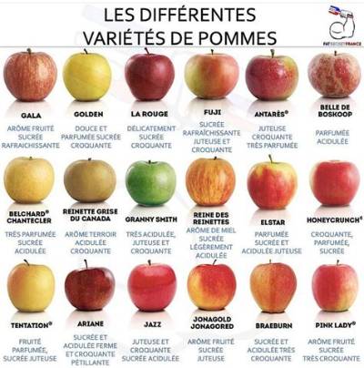 Combien De Sorte De Pomme?