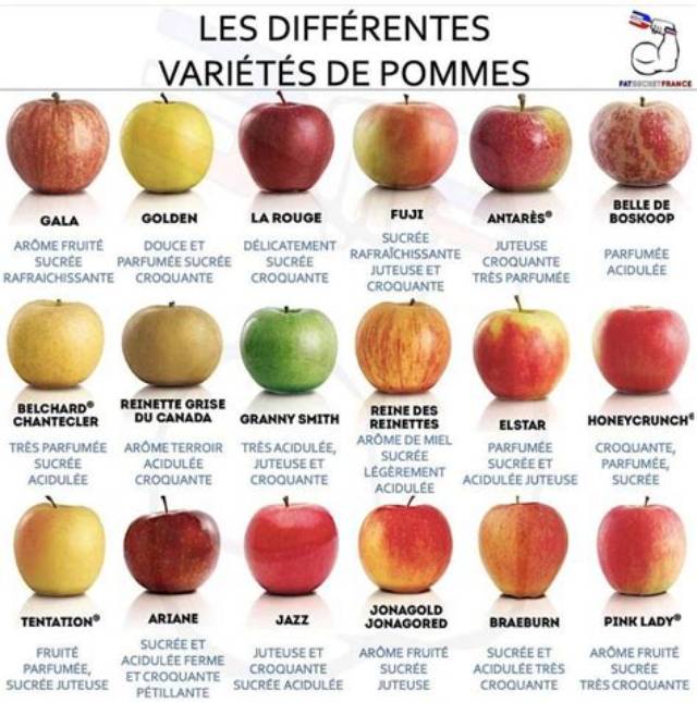 Combien De Sorte De Pomme?
