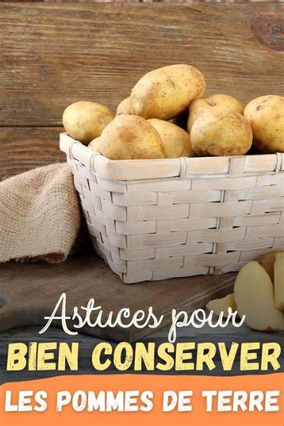 Combien De Temps Conserver Pomme De Terre Dans L’eau?