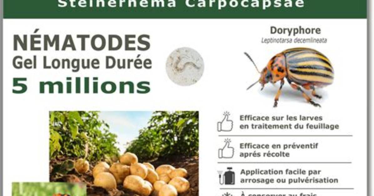 Combien De Traitement Sur Une Pomme?