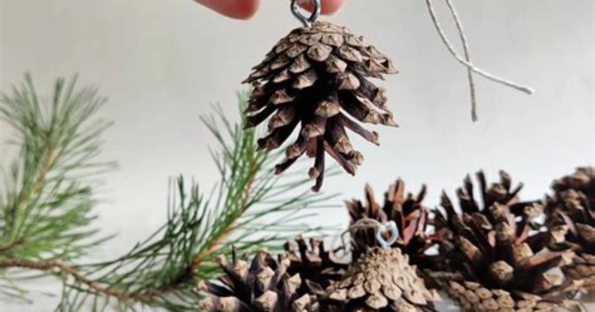 Comment Accrocher Une Pomme De Pin?