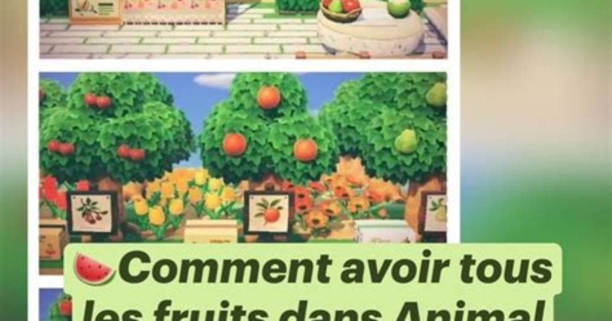 Comment Avoir Tous Les Fruits Dans Animal Crossing Sans Online?