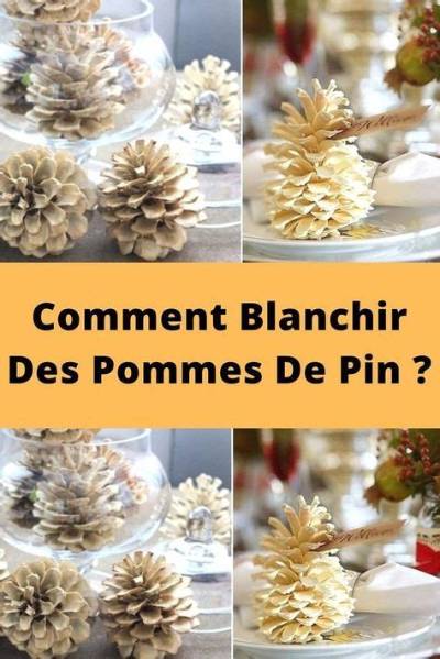 Comment Blanchir Pomme De Pin?