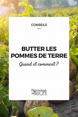 Comment Butter Les Pomme De Terre?
